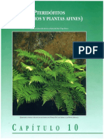 LECTURA Helechos y plantas afines.pdf