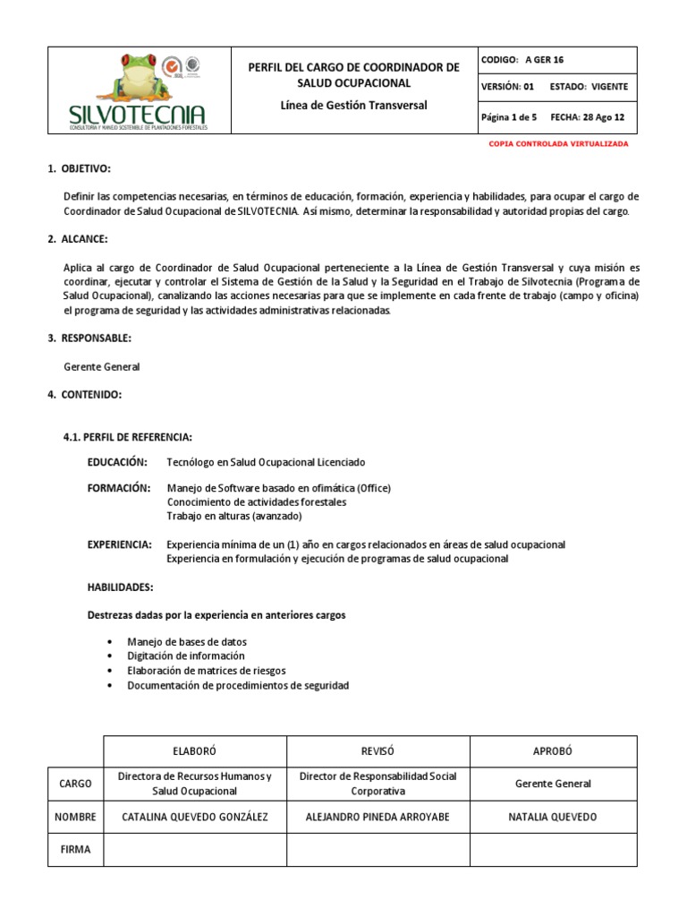 Perfil del cargo de Coordinador de Salud Ocupacional | PDF | Seguridad ...