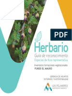 herbario-guia-reconocmiento.pdf