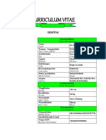 Curriculum Vitae Vyna Kirim