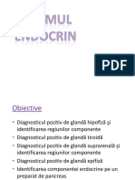 02.Glande endocrine_2018_site.pptx.pdf