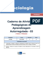 sociologia-regular-professor-autoregulada-2s-3b.pdf
