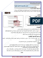 Sciences 4am20 1trim d1 PDF