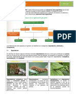 Interacciones biológicas y ecológicas claves