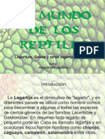 Taller Mundo de Los Reptiles III