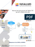 Manual de Estructura Tablas TXT SETI IPRESS ON LINE Ok - PDF