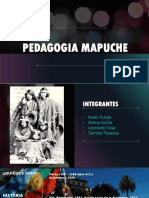 Pedagogia Mapuche 11