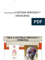 Relacion Entre Sistema Nervioso y Endocrino