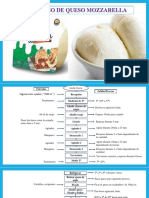 Proceso de Queso Mozarella