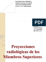 Manual de Radiologia