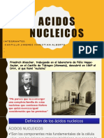 acidos-nucleicos expo bioquimica.pptx