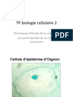 TP Biologie Cellulaire 21