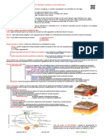 TEMA-1-RESUMO-1.pdf