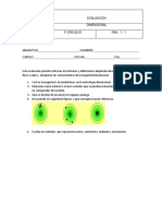 Evaluación Dimensional