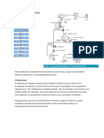 Proceso de la Plata.docx