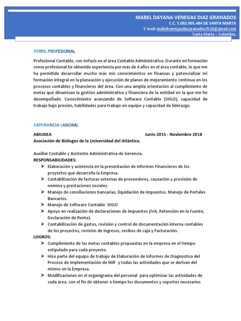 Perfil Profesional de Mabel Dayana Venegas | PDF | Contabilidad ...