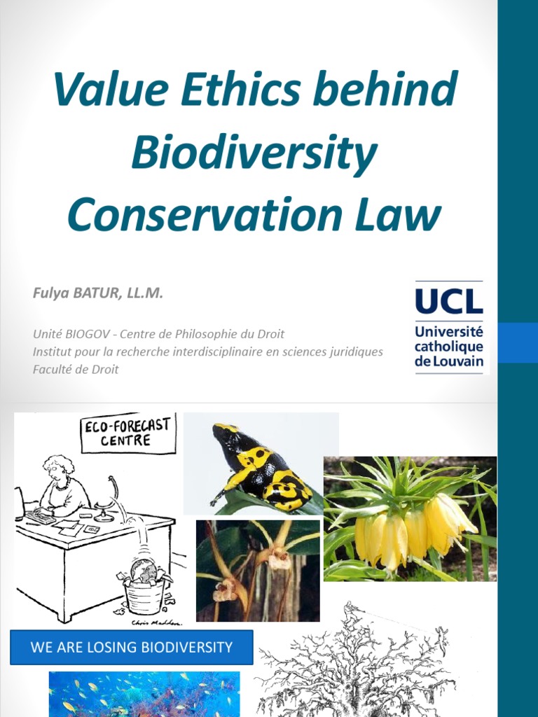 Examining the Ethical Foundations of Valuing Biodiversity Through ...