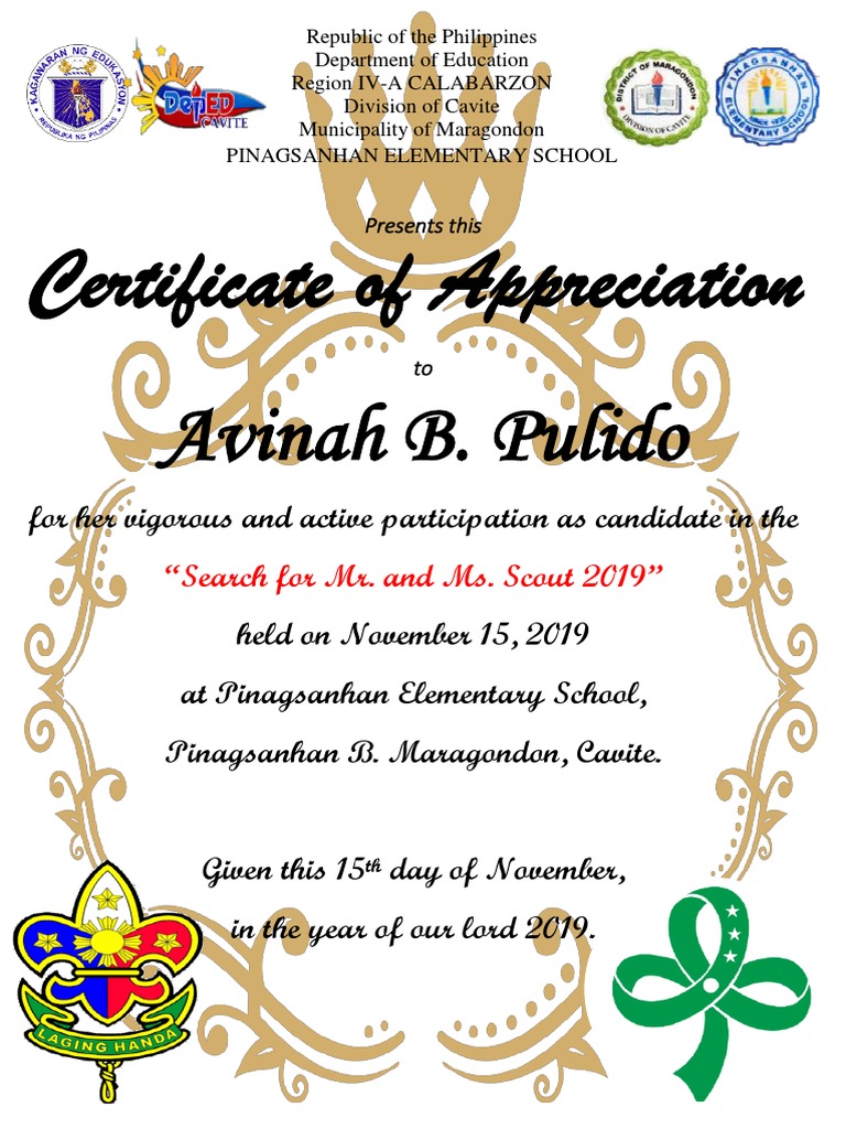 Mr. and Ms. Scout 2019 Certificate | PDF