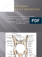 Anatomia dos membros pélvicos 