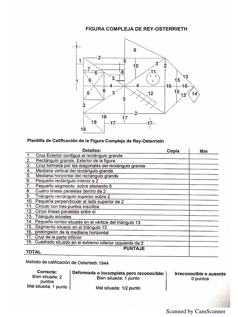 Calificación Figura de Rey | PDF