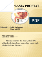 Hiperlasia Prostat XII KP