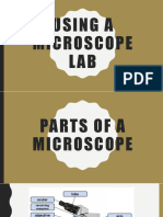 Using A Microscope LAB