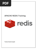 APACHE REDIS Training: Trainer:David Joseph