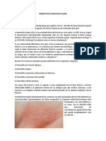 Dermatitis Eccematosa Aguda