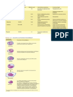Cuadro de Celulas Sanguineas