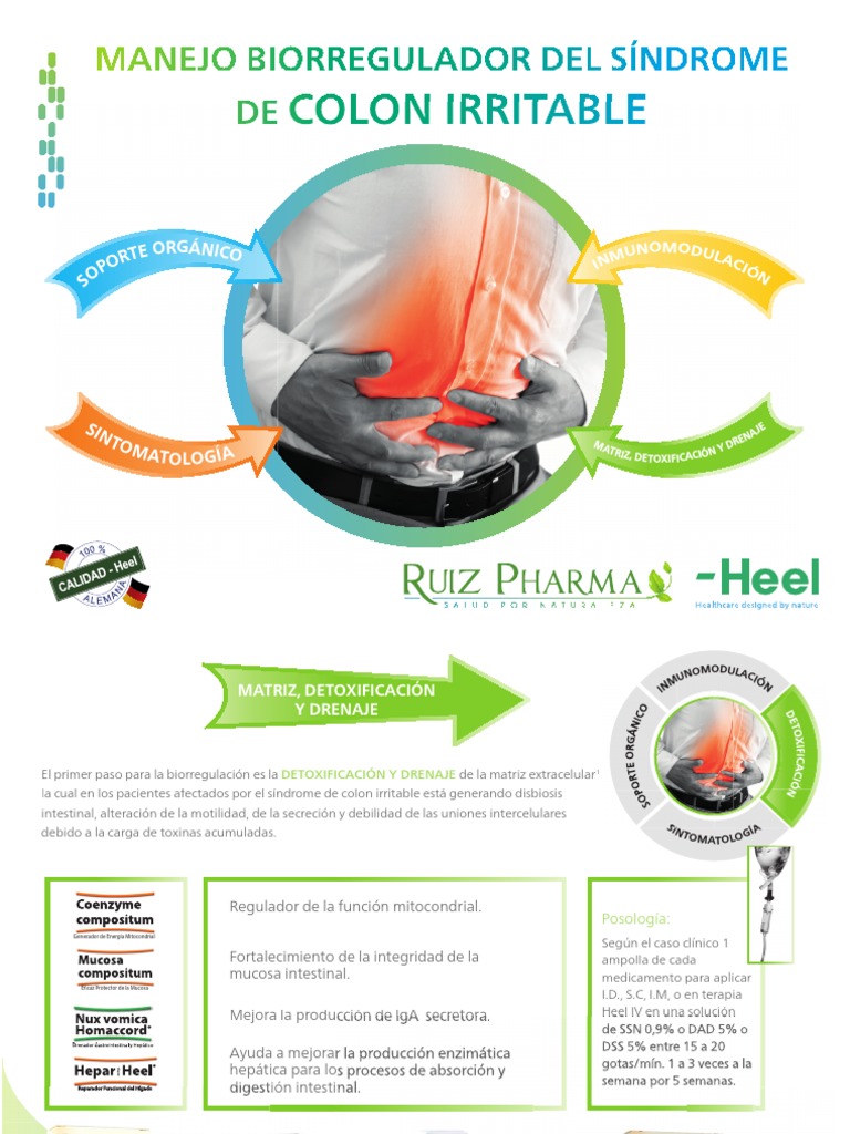 Colon Irritable Colon Irritable Manejo Biorregulador Del Síndrome DE