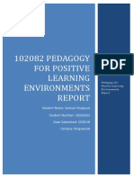 Pedagogy For Positive Learning Environment Report2