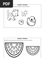 Actividades de Grande-Pequeño y Pertenencia