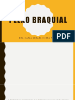 Plexo Braquial