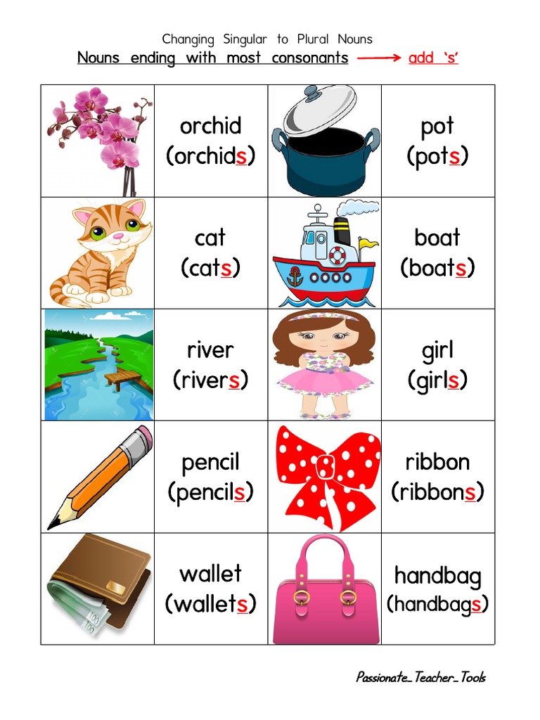 Orchid (Orchid) Pot (Pot) Nouns Ending With Most Consonants