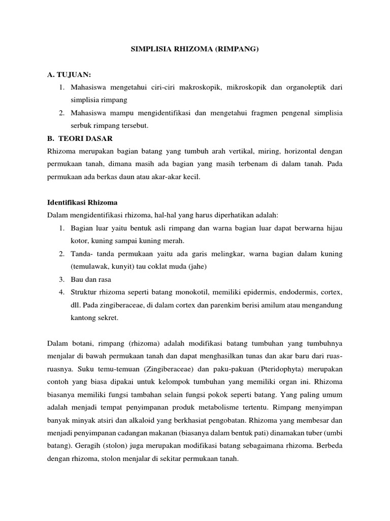 Ciri-Ciri dan Identifikasi Rhizoma | PDF | Sains & Matematika