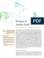 5 - Proteins and Amino Acids (9!22!16)