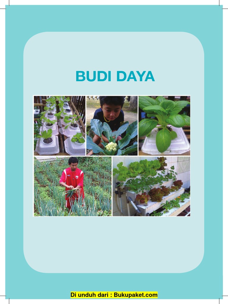 Bab 4 Budi Daya Tanaman Sayuran Pdf