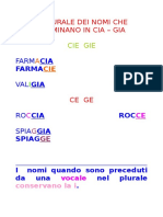 IL PLURALE DEI NOMI CHE TERMINANO IN CIA.doc