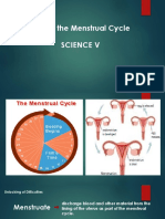 Science 5 (Mentrual Cycle)