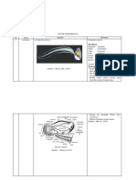 lAPREF UROCHORDATA