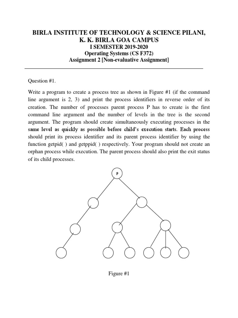 Process Tree and Marks Editing Assignment | PDF | Directory (Computing ...