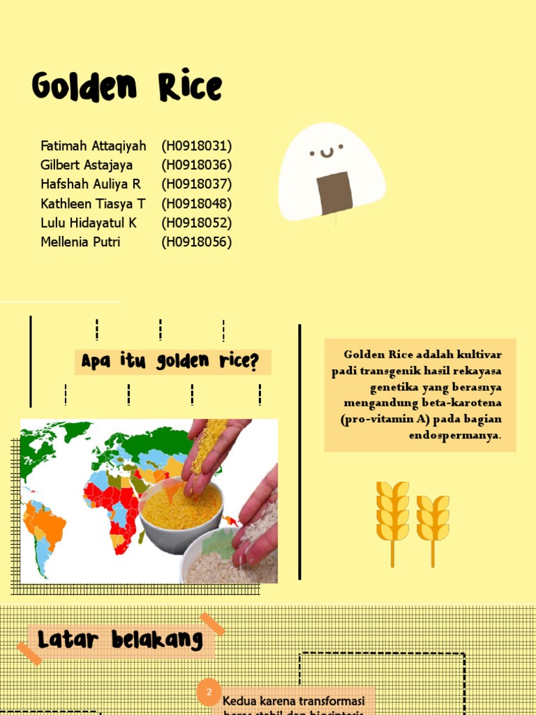Golden Rice | PDF