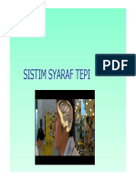 Sist_Syaraf_Tepi_[Compatibility_Mode].pdf