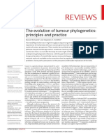 Reviews: The Evolution of Tumour Phylogenetics: Principles and Practice