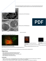 Evolution of Cell Mitochondria