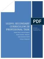 Secondary Curriculum 2b Professional Task