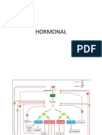 KB Hormonal