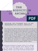 THE Reproduction of Animals