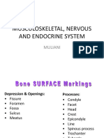 nervous system stikes bali idk I.ppt