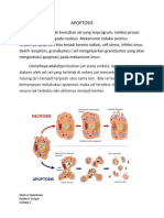 Apoptosis